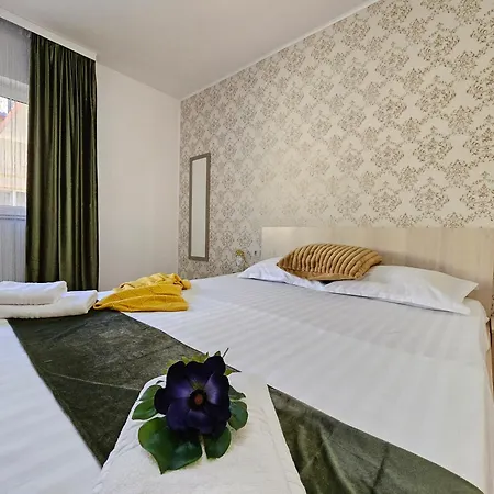 Pensiune Pensiunea Scoica