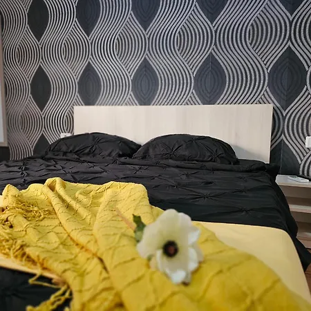 Pensiunea Scoica Pensiune *