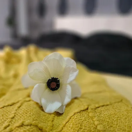 Pensiunea Scoica * Costineşti