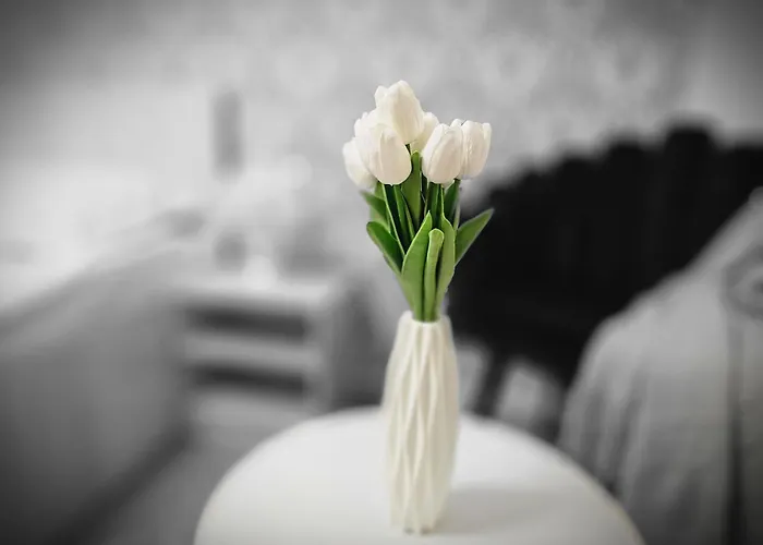 Scoica Vendégház Costinești