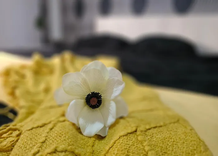 Scoica * Costinești