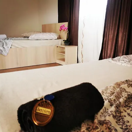 Guest house Pensiunea Scoica *