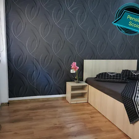 Guest house Pensiunea Scoica *