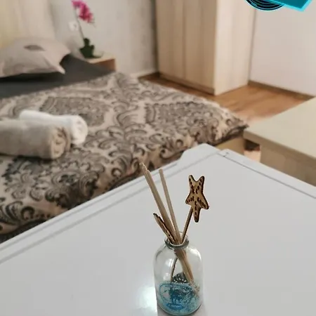 Guest house Pensiunea Scoica *