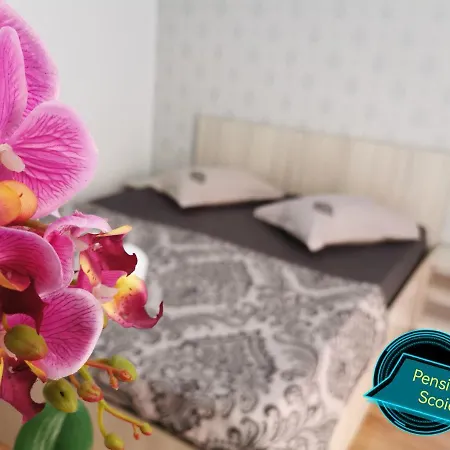 Guest house Pensiunea Scoica