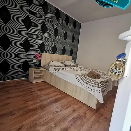 Pensiunea Scoica Guest house *
