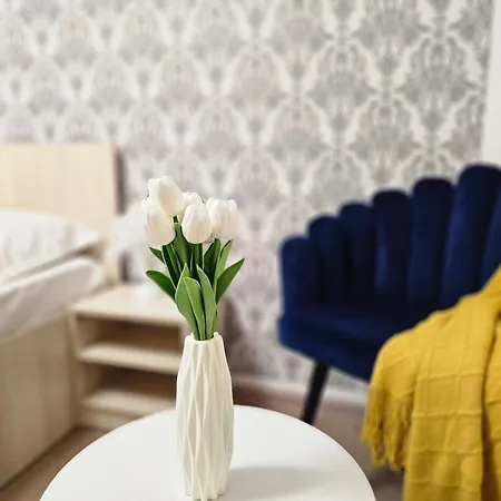 Pensiunea Scoica Guest house