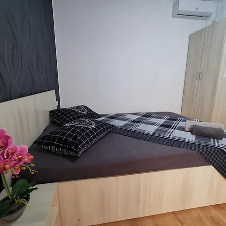 Guest house Pensiunea Scoica *