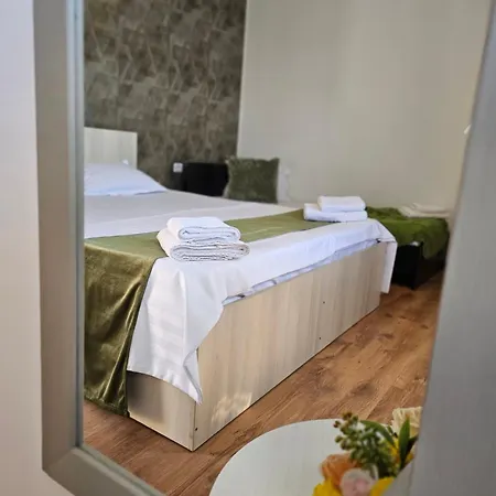 Guest house Pensiunea Scoica *