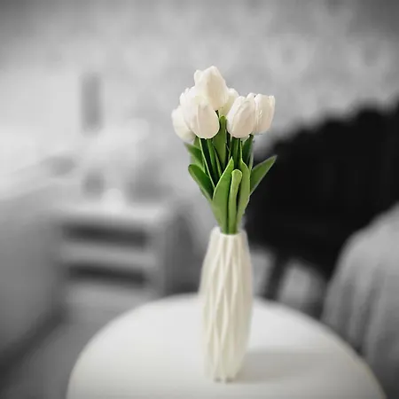 Scoica Penzion Costineşti