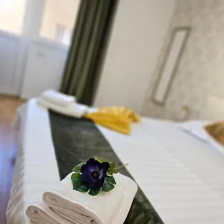 Pensiunea Scoica Guest house