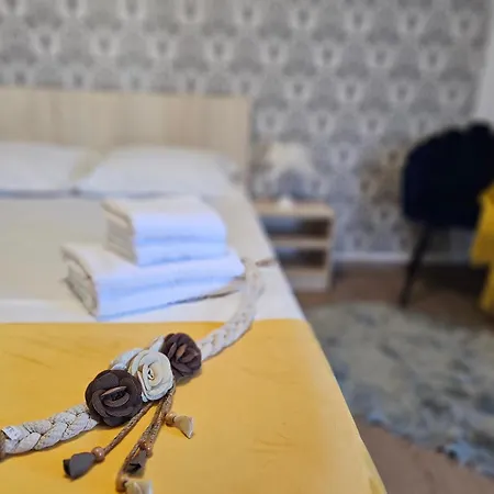 Pensiunea Scoica Guest house